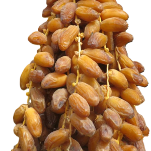 Arjoun Dattes